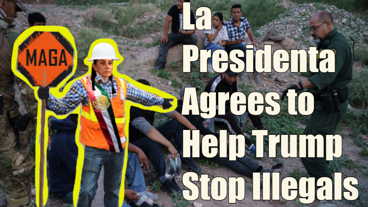 Mexican President Agrees to Halt Immigration